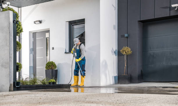 Best Fleet Vehicle Washing  in Cypress Quarters, FL